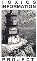 TIP's lighthouse