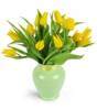 Totally Tulips